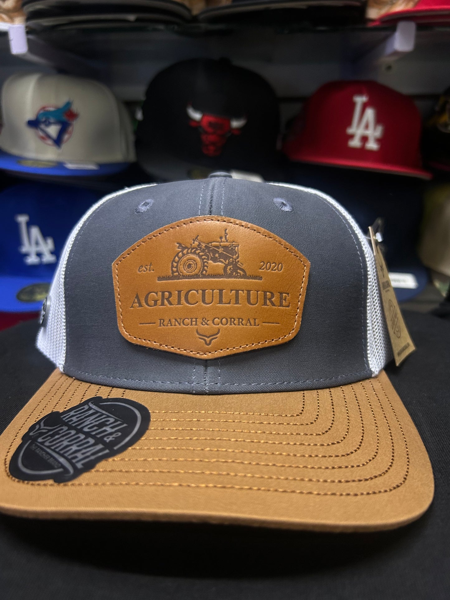 Gorra Ranch corral agriculture