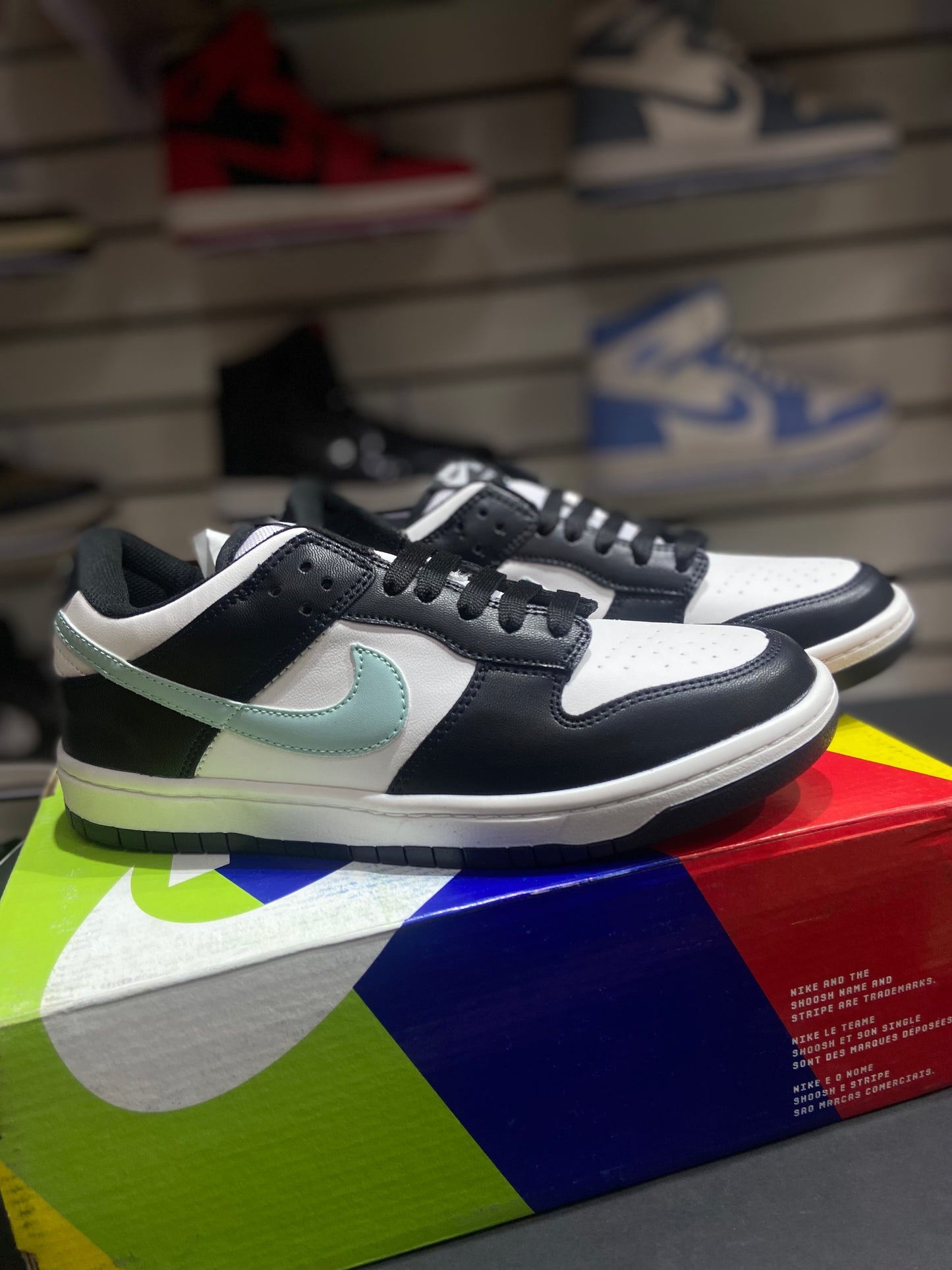 TENIS NACIONAL TIPO NIKE SB DUNK