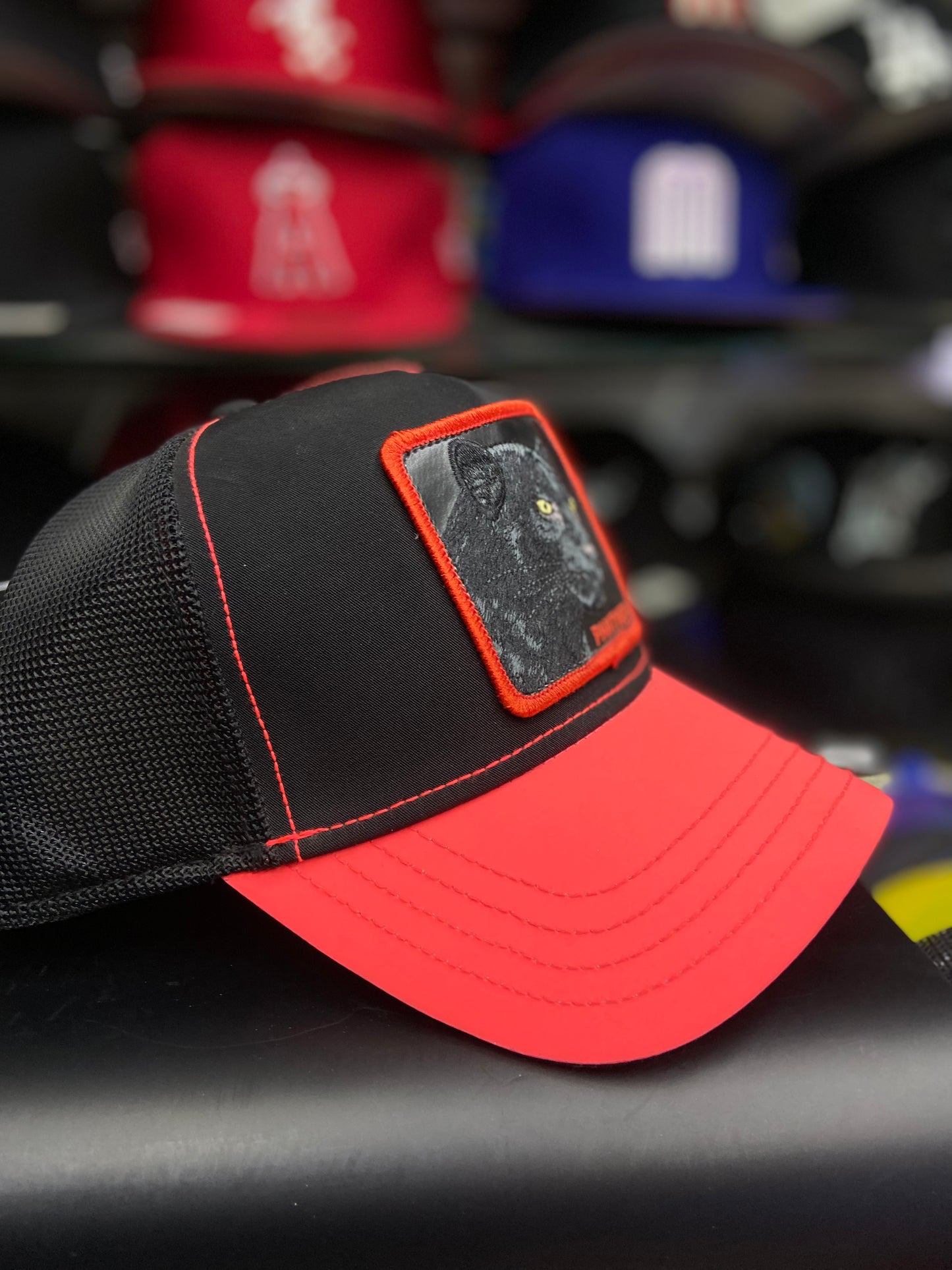 GOORIN BROS “Panther” Donkere Glanzende Trucker